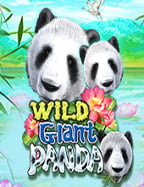 แชมป์พรีเมียร์ลีกไร้พ่ายการพนันกับสูตรเล่นที่คุณไม่ควรพลาด